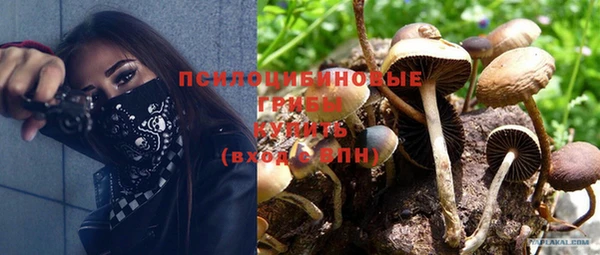 a pvp Мегион